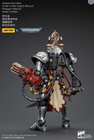 Joy Toy Warhammer 40,000 Adepta Sororitas Argent Shroud Paragon Warsuit Sister Collaen 1:18 Scale Action Figure/ Joy Toy
