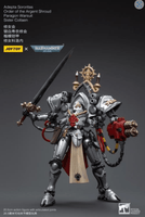 Joy Toy Warhammer 40,000 Adepta Sororitas Argent Shroud Paragon Warsuit Sister Collaen 1:18 Scale Action Figure/ Joy Toy